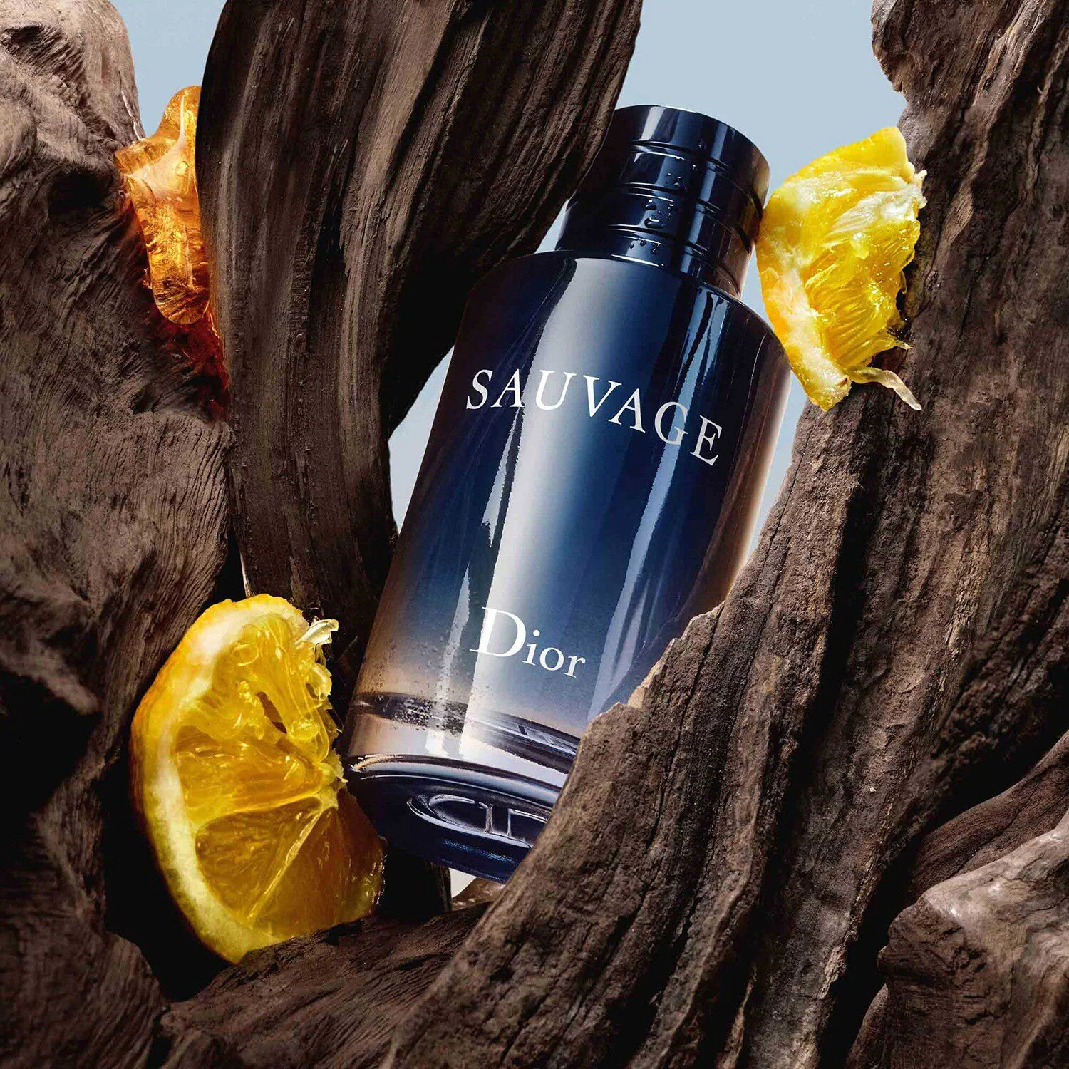 Sauvage - Dior for men